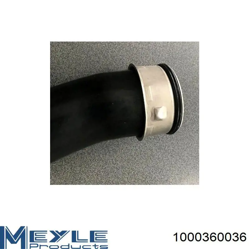 Manguera del intercooler Meyle 1000360036 precio, desde 51,24 EUR