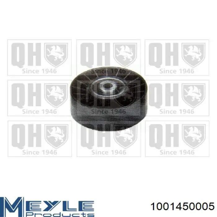 Polea inversión/guía, correa auxiliar servicios Meyle 1001450005 precio, desde 12,63 EUR