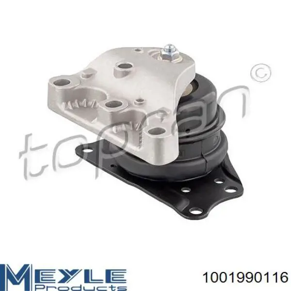 Comprar 461301 Cautex Soporte de motor derecho