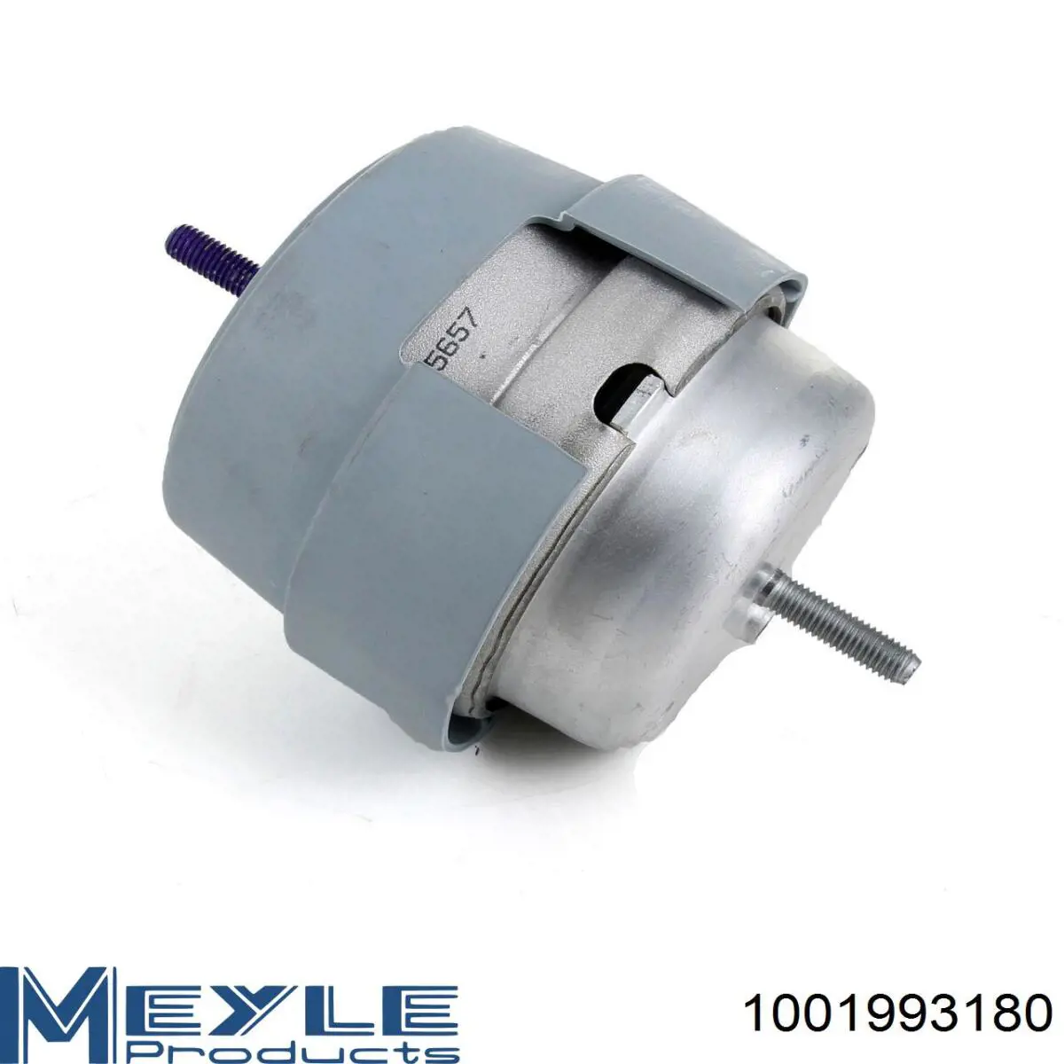 Soporte de motor izquierdo Meyle 1001993180