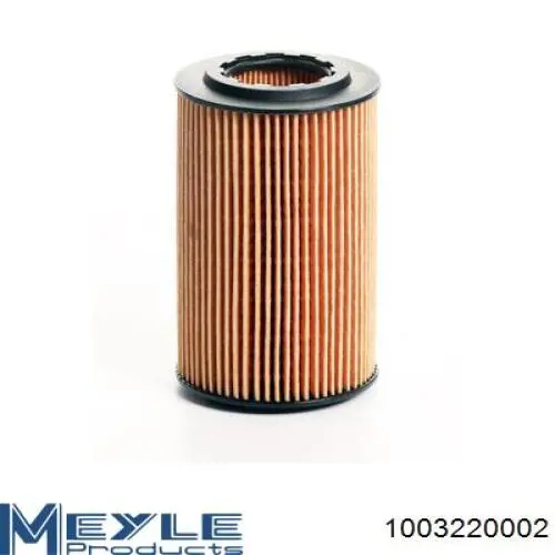 Filtro de aceite motor Meyle 1003220002