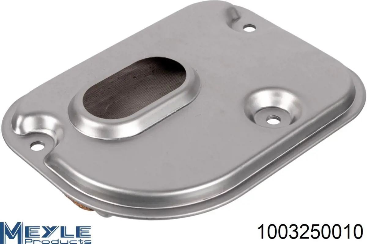 Comprar 1003250010 Meyle Filtro de transmisión automática