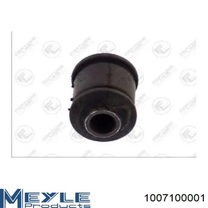 Buje del brazo inferior trasero 080917 Cautex