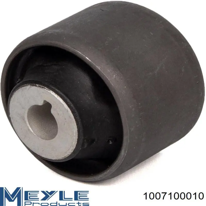 Buje del brazo inferior trasero 1007100010 Meyle