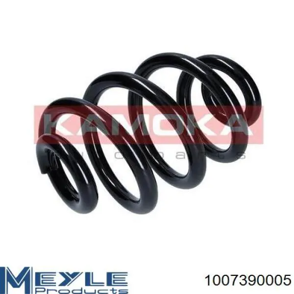 1007390005 Meyle Muelle trasero