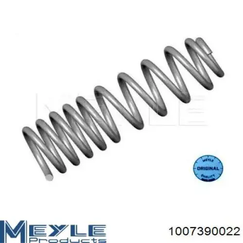 SR042TP Raiso Muelle trasero