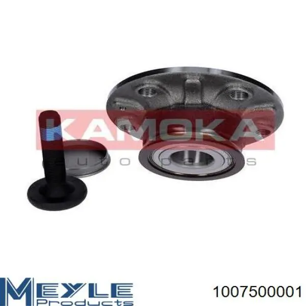 Cubo de rueda trasero T490122 STC