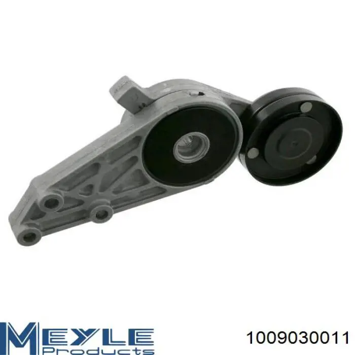 Tensor de correa poli V 533007730 LUK