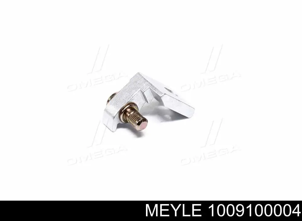 Bisagra de puerta delantera izquierda 1009100004 Meyle