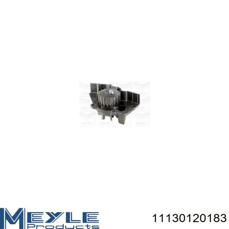 Motor de agua Dayco DP031