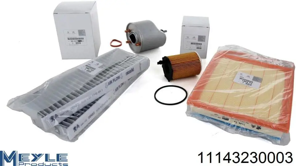 Filtro de combustible FE0222 Bremsi