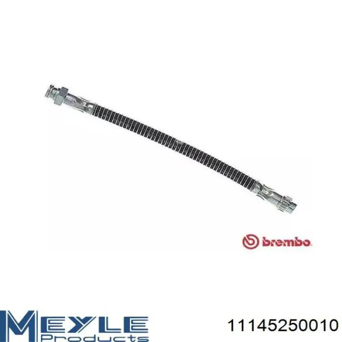 Tubo flexible de frenos delantero Peugeot/Citroen 4885T5