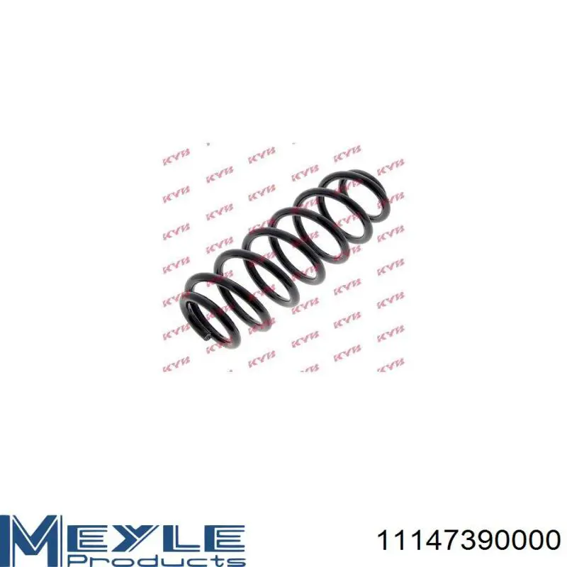 Muelle de suspensión trasero Asam 75955 precio, desde 26,84 EUR
