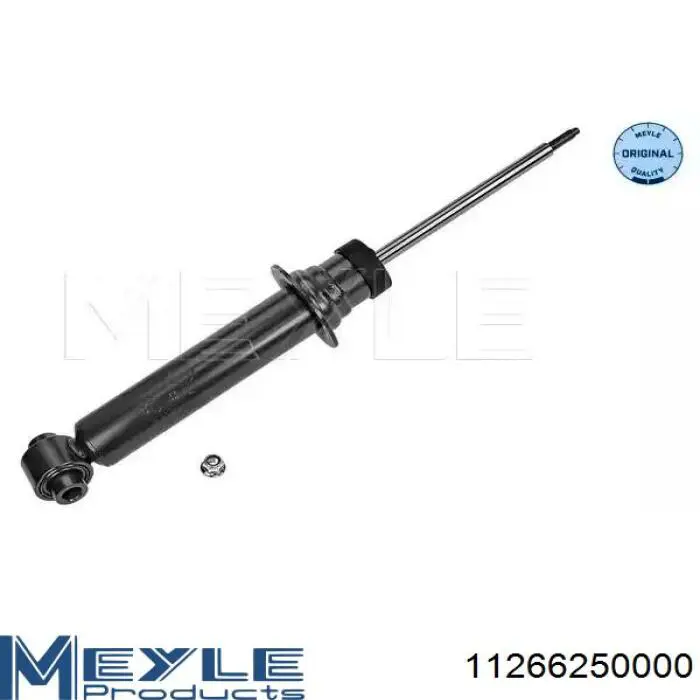 Amortiguadores Raiso RS313562 precio, desde 52,04 EUR