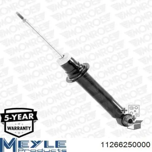 RS313562 Raiso Amortiguador frontal