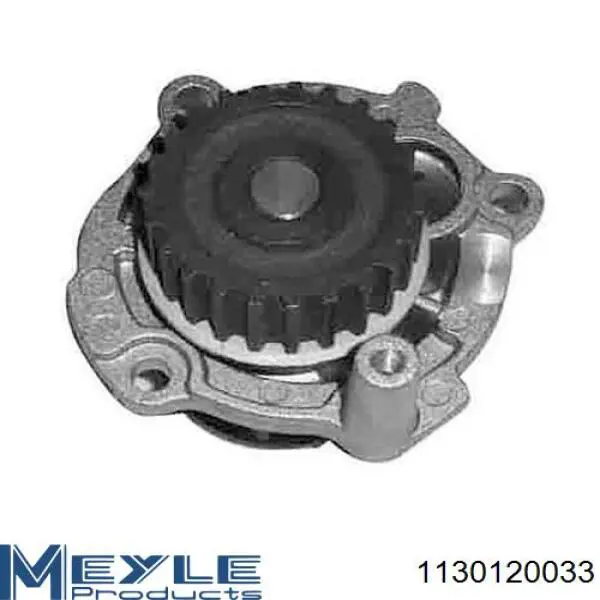 Motor de agua VAG 06B121011EX