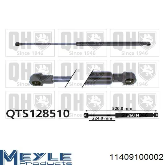 Amortiguador de maletero Peugeot 206 2A/C