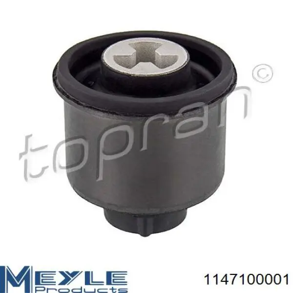 Suspensión, cuerpo del eje trasero Seat Toledo 2 1M2