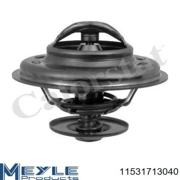 11531713040 Meyle termostato, refrigerante