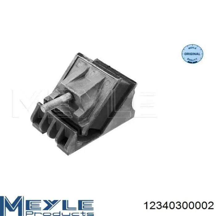 Soportes de motor trasero MAN 81962100597 precio, desde 105,12 EUR