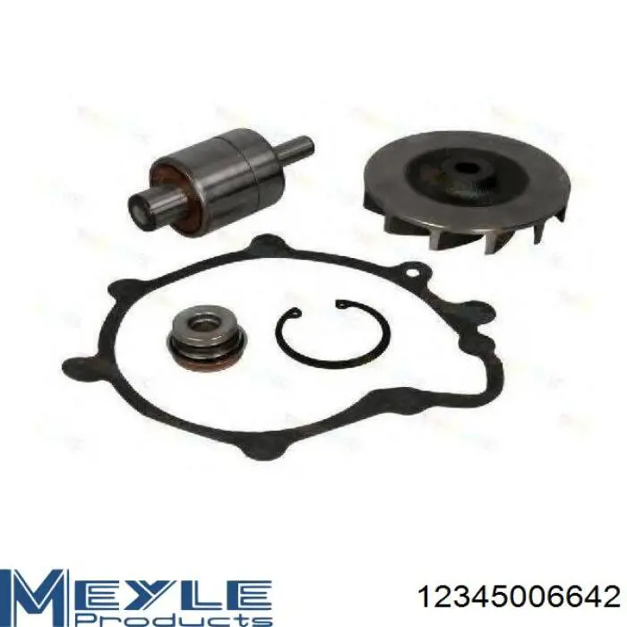 Comprar 55200118 Laso Bomba de agua para motor