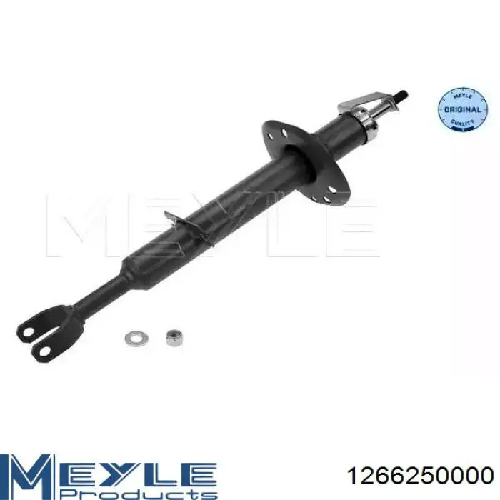 Amortiguador RS316997 Raiso