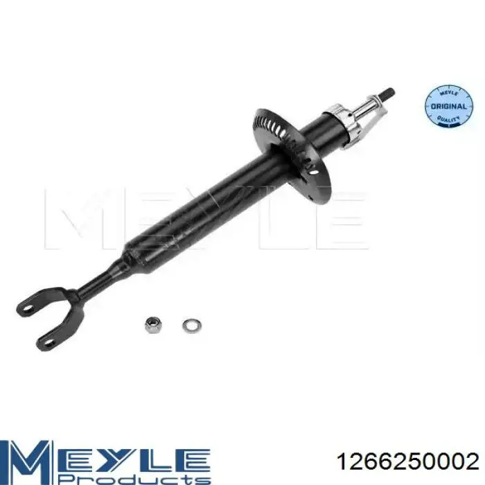 Comprar RS170811 Raiso Amortiguador