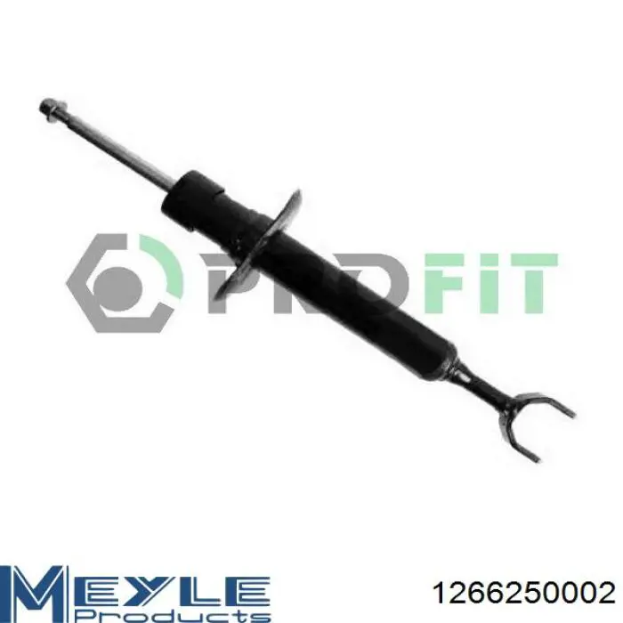 Amortiguador RS170811 Raiso