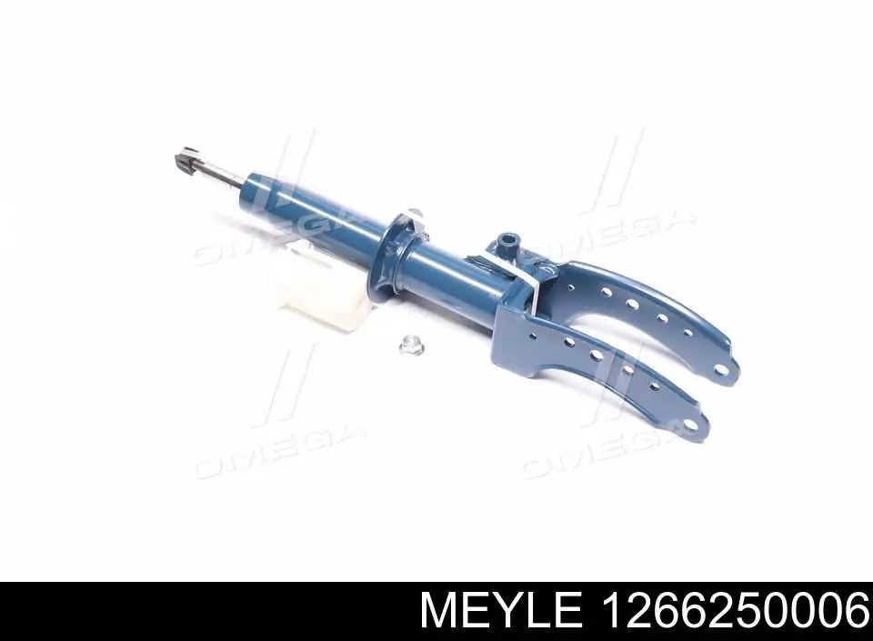 RS317241 Raiso Amortiguador frontal izquierdo