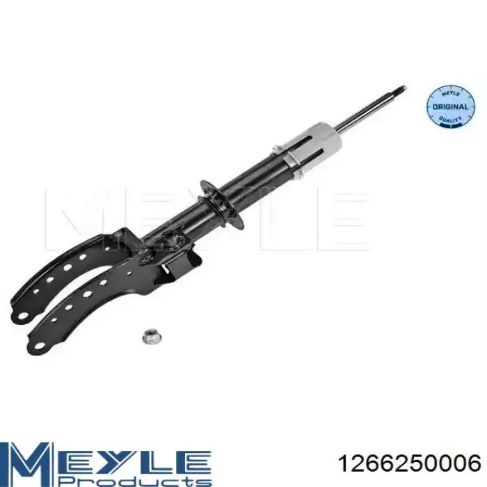 Amortiguador delantero izquierdo Raiso RS317241 precio, desde 71,13 EUR