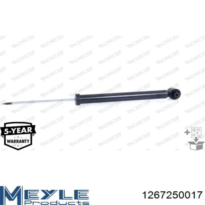 Amortiguador trasero Raiso RS318202 precio, desde 47,06 EUR