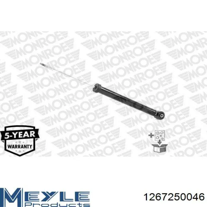 RS556273 Raiso Amortiguadores posteriores