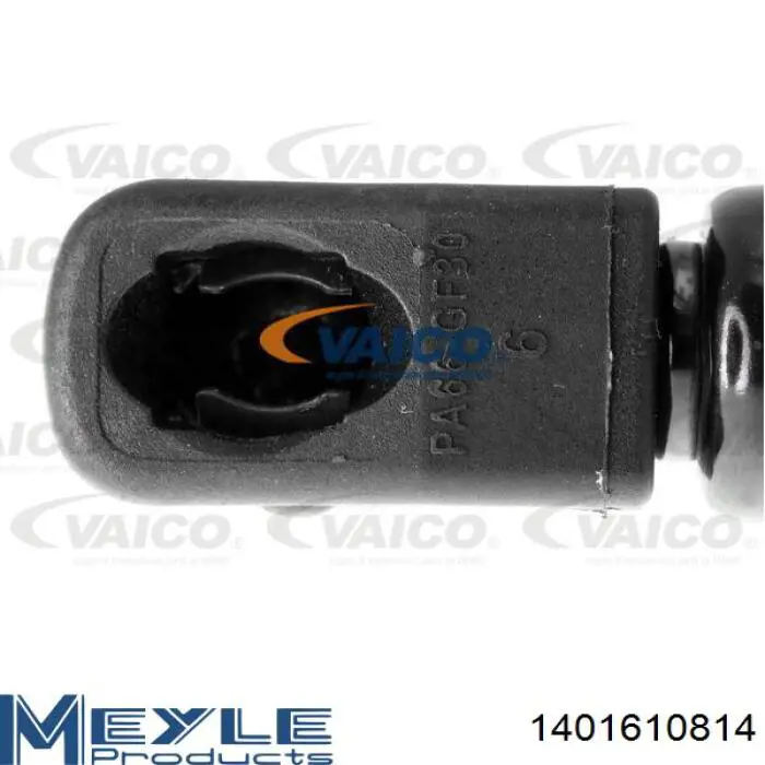 Amortiguador maletero 9548AB2D Polcar