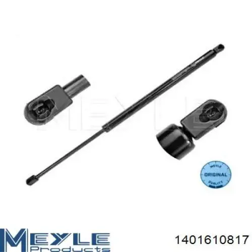 Amortiguador de maletero Starline 2044800 precio, desde 15,58 EUR