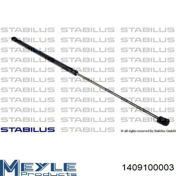 Muelle neumático, tapa delantera Diederichs 9101700 precio, desde 11,34 EUR