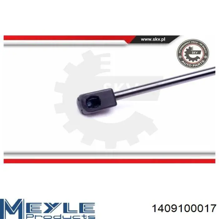 Muelle neumatico maletero VAG 8E9827552F