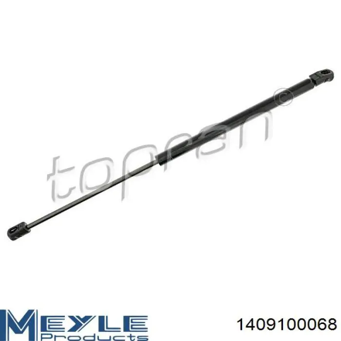 Muelle neumático, tapa delantera Starline 1257805 precio, desde 16,64 EUR
