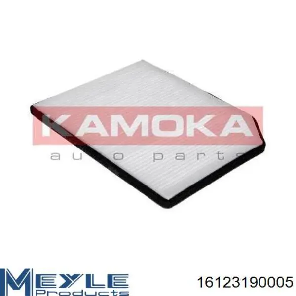 8660004949 Renault (RVI) Filtro antipolen