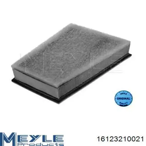 Filtro de aire 165469029R Renault (RVI)