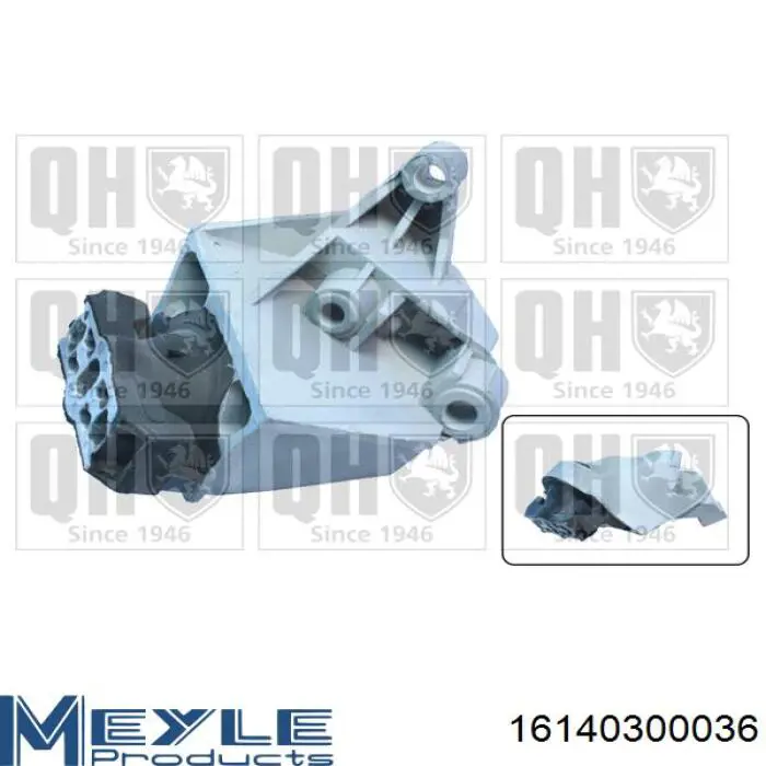 Comprar REEM103 Kautek Soporte de motor derecho