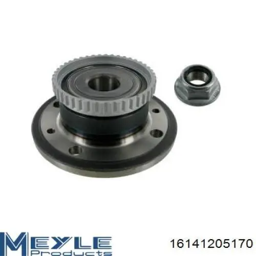 Cubo de rueda trasero 8660001821 Renault (RVI)