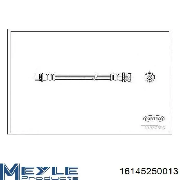 Latiguillos de freno delantero T496203 STC