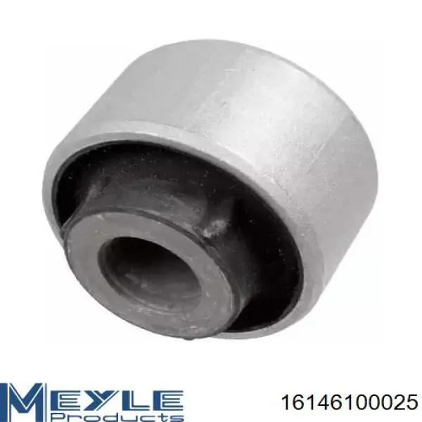 Silentblock del brazo de suspensión 545600004R Renault (RVI)