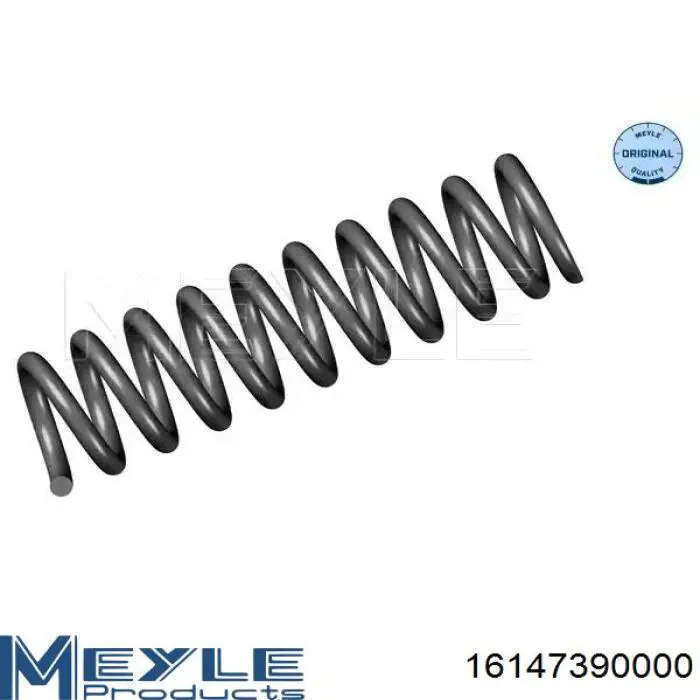Comprar 6001547493 Renault (RVI) Muelle de eje trasero