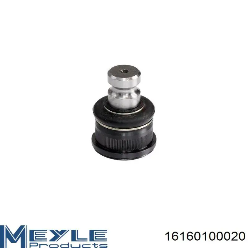 Rótula inferior de suspensión RH032022 Reinhoch