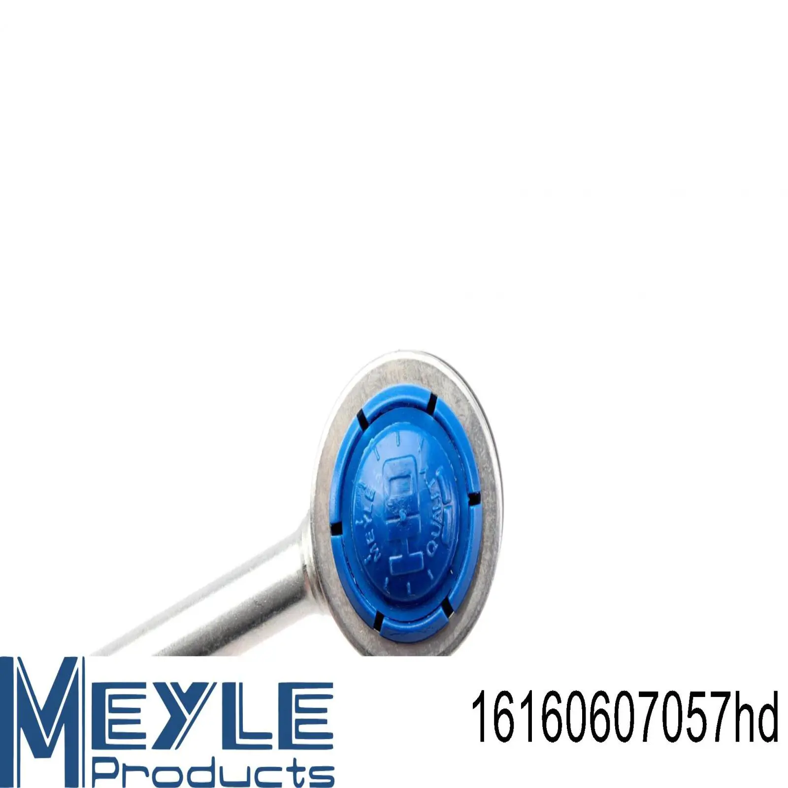 Soporte de barra estabilizadora delantera Renault Laguna 1 B56, 556