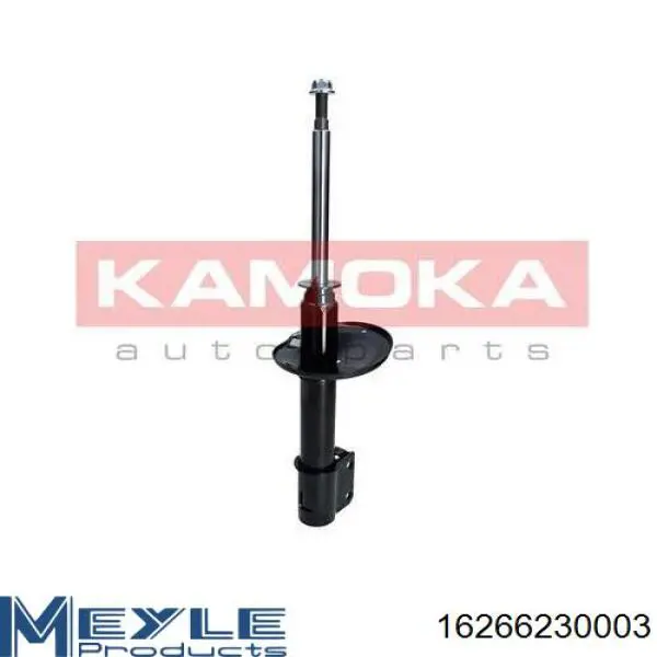 RS315527 Raiso Amortiguador frontal