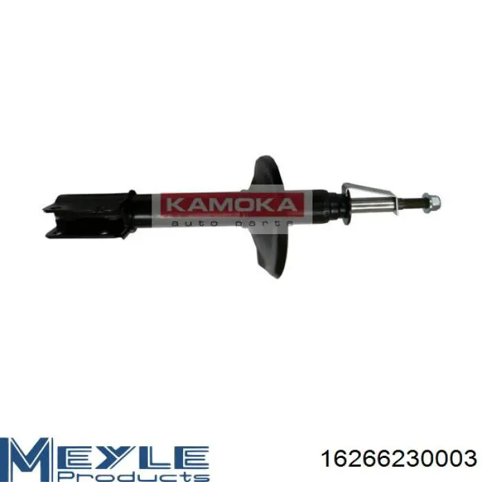 Amortiguadores Raiso RS315527 precio, desde 46,27 EUR