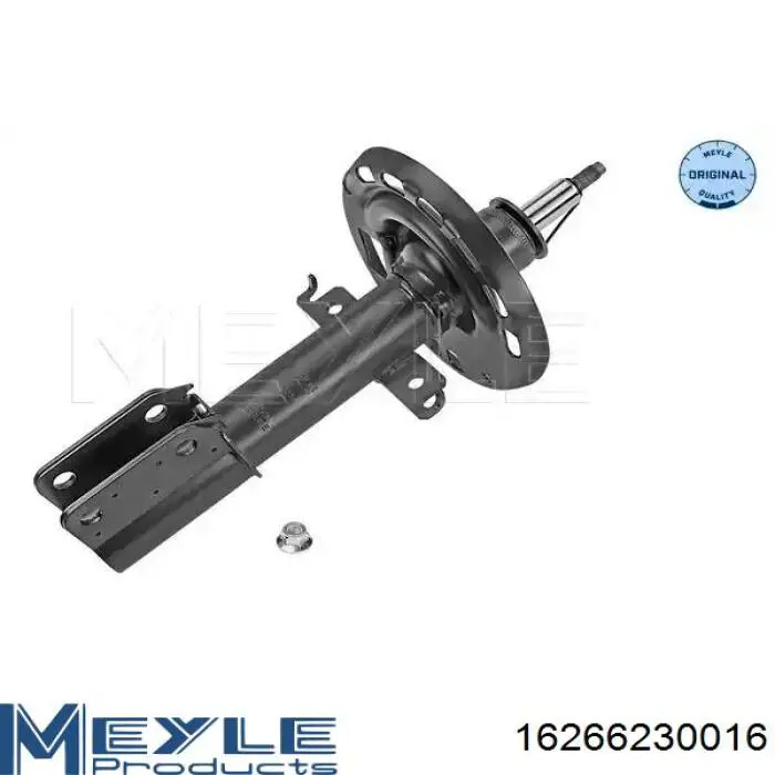 Amortiguador RS315296 Raiso