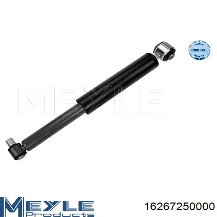 Amortiguador trasero Raiso RS290739 precio, desde 42,74 EUR